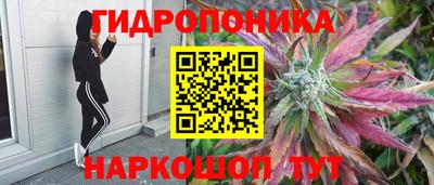 спиды Кулебаки