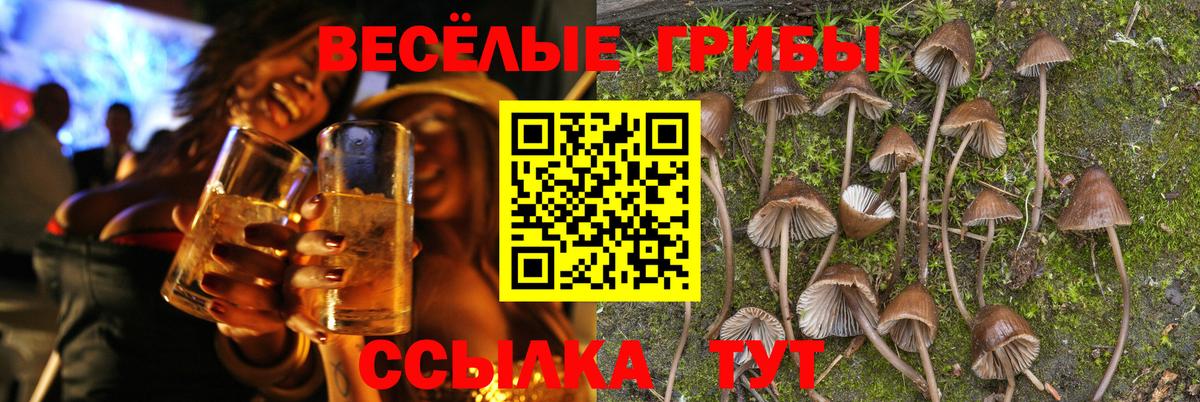 Псилоцибиновые грибы Psilocybine cubensis  Вход с VPN  Донской  купить наркоту  Галлюциногенные грибы Psilocybine cubensis 